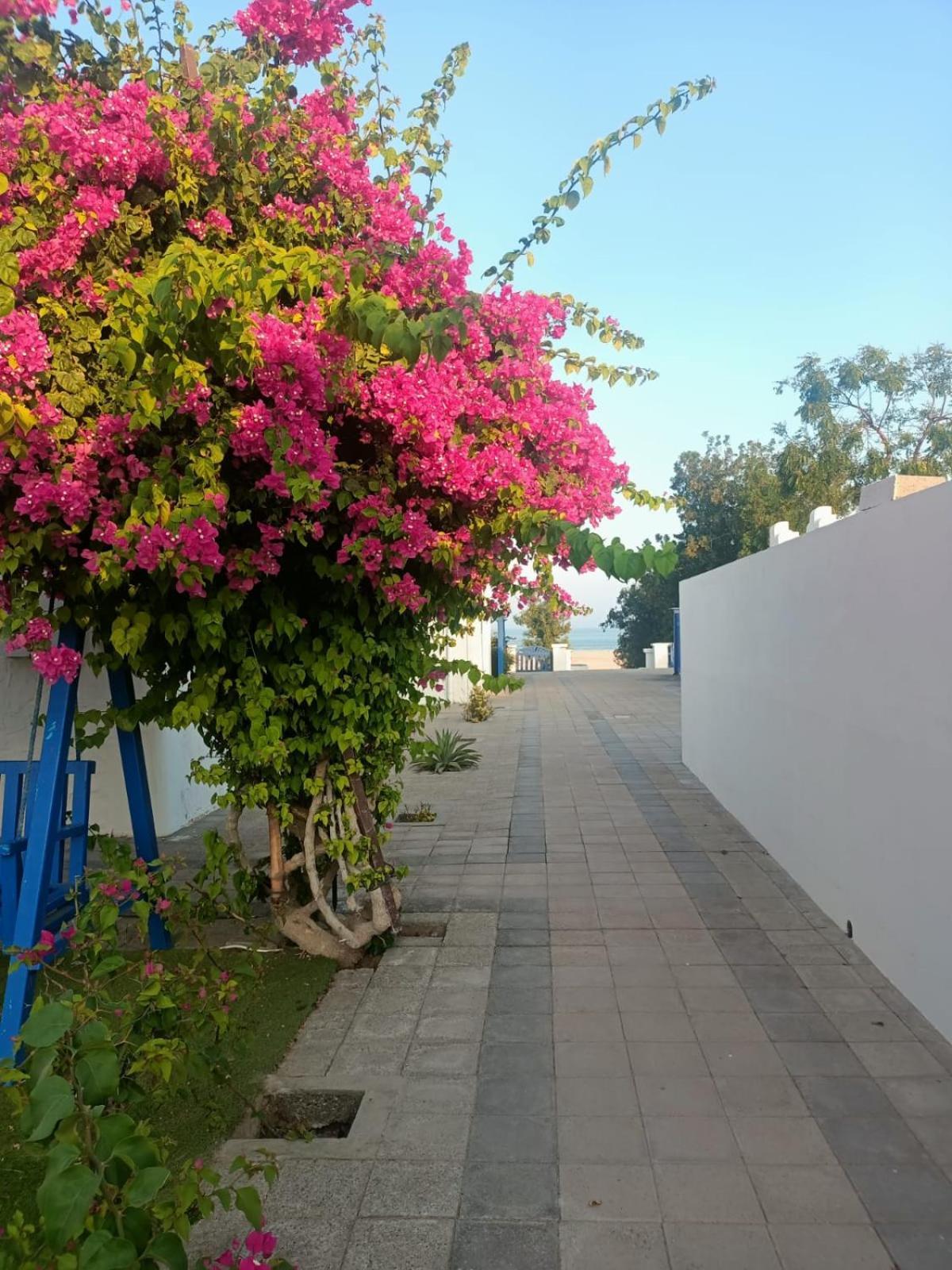 Al-Ashkhara Beach Resort منتجع شاطئ الأشخرة Al-Sarkija Kültér fotó