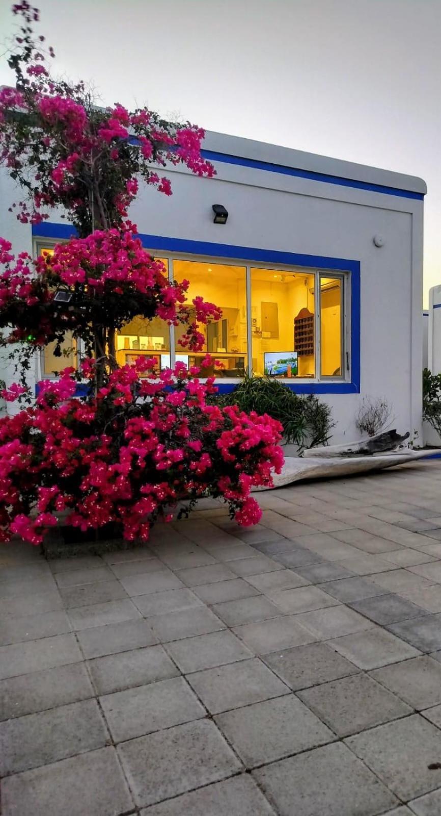 Al-Ashkhara Beach Resort منتجع شاطئ الأشخرة Al-Sarkija Kültér fotó